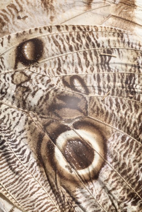 2_Motte_Still_Juli_20213248