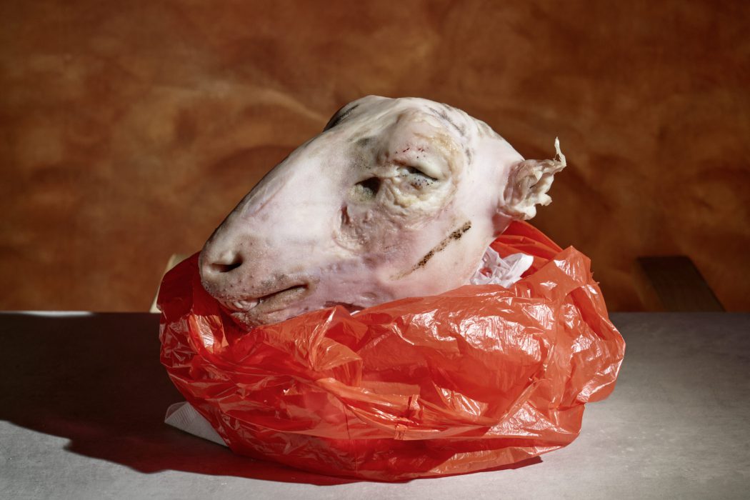 42_Göttinnen_Neukölln_DSC6427