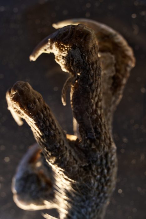 Still_Experiment0019